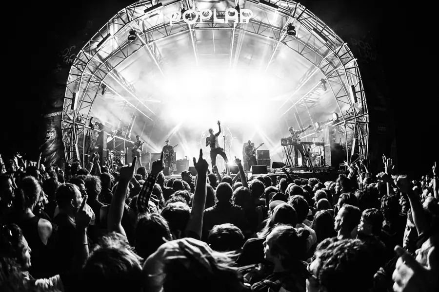 Poplar 24-23 - foto 1 (Live)