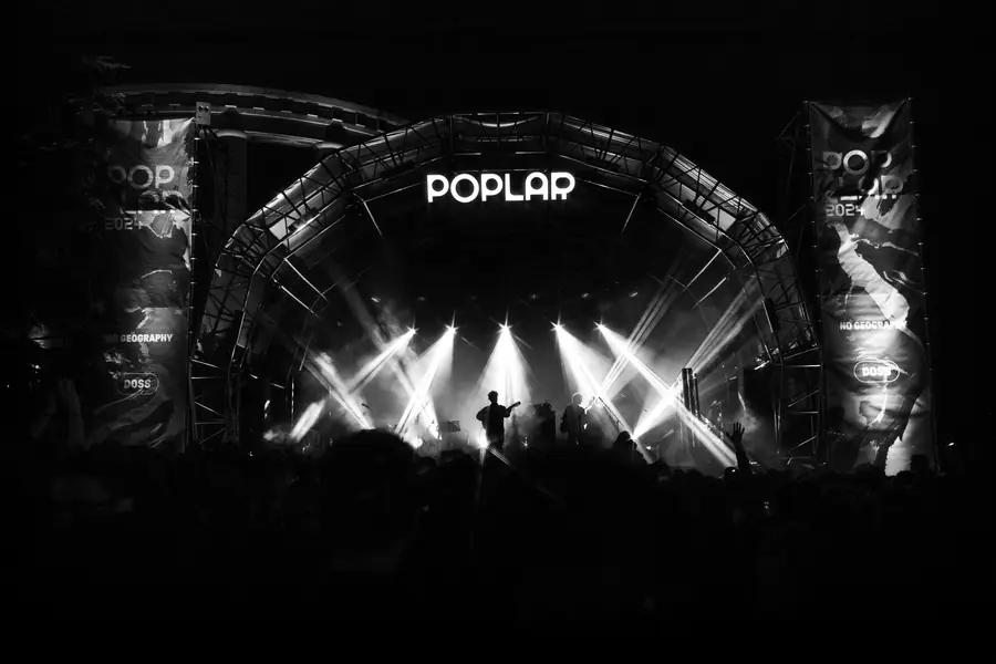 Poplar 24-23 - foto 5 (Live)