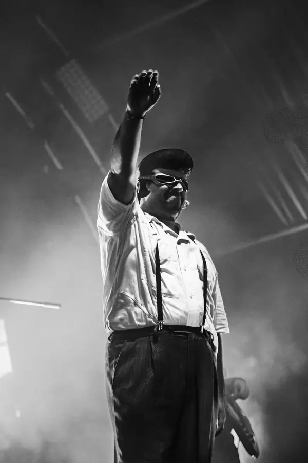 Poplar 25 - foto 5 (Live)