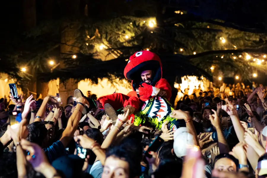 Poplar 25 - foto 6 (Live)