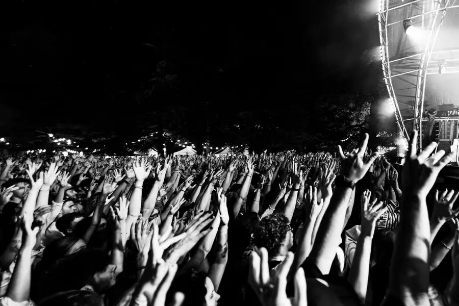 Poplar 25 - foto 12 (Live)
