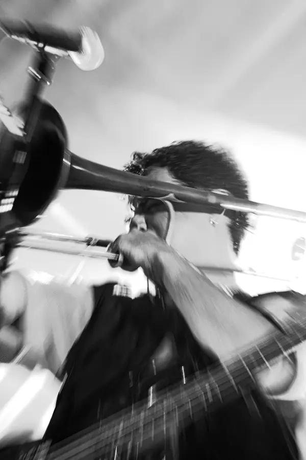 Poplar 26 - foto 4 (Live)