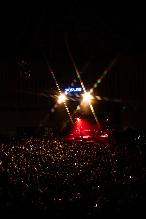 Poplar Utopia 25-24 - foto 3 (Live)
