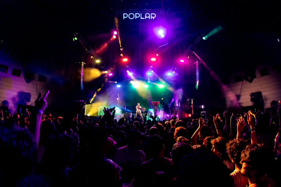 Poplar Utopia 25-24 - foto 5 (Live)