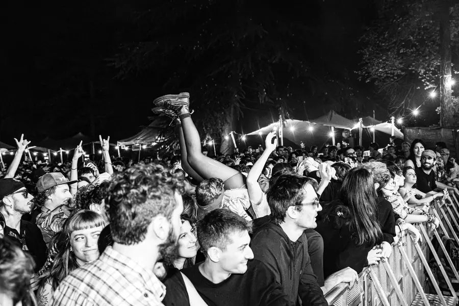 Re del Pogo - foto 10 (Reportage)
