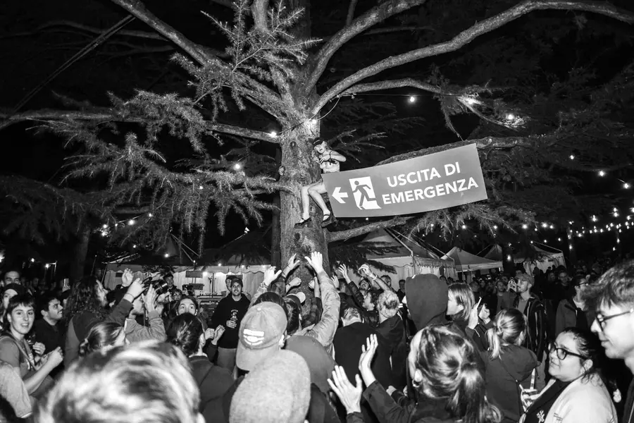 Re del Pogo - foto 17 (Reportage)