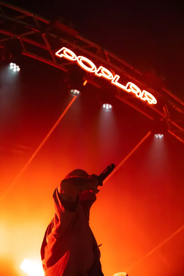 Simone Panetti - foto 9 (Live)