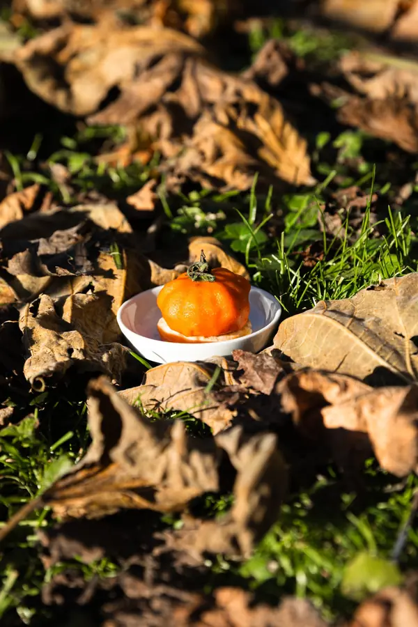 Trentino Catering - foto 12 (Commerciale)